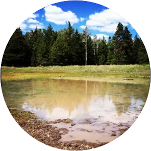 Bismarck Lake - Lake in Arizona