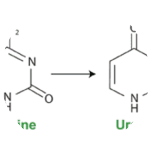 Bisulfite photograph