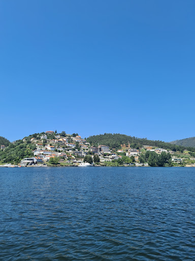 Bitetos Douro - Boat rental service in Varzea do Douro, Portugal