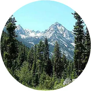 Bitterroot National Forest - 