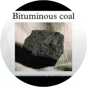 Bituminous coal