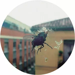 Biznaga - Musical group