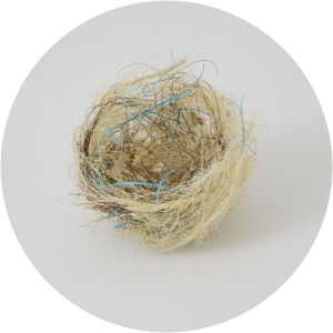 Björn Braun - Visual artist