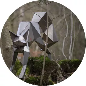 Björn Grünewald photograph