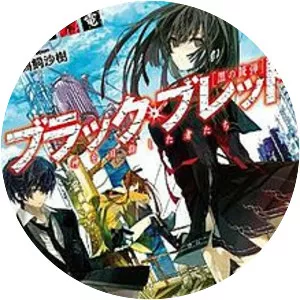 Black Bullet - Novel series