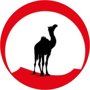 Black Camel Pictures