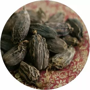 Black cardamom - 