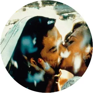 Black Cat, White Cat