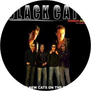 Black Cats 