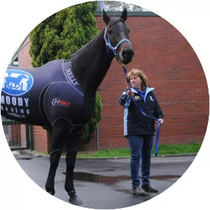 Black Caviar - Horse