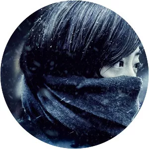 Black Coal, Thin Ice