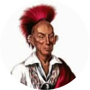 Black Hawk  - Warrior