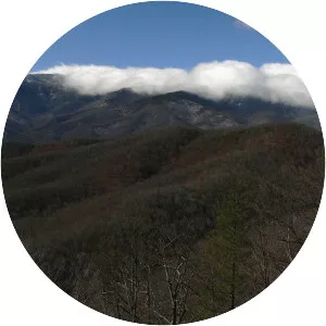 Black Mountains - Mountain range in North Carolina