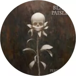 Black Paisley