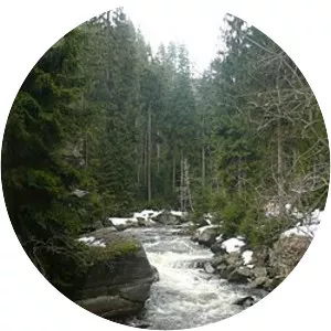 Black Pockau - River in Europe