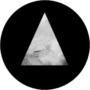 Black Polygons - Musical artist