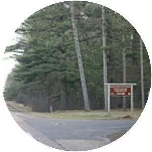 Black River State Forest - State park in Wisconsin