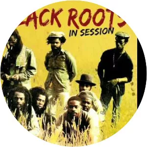 Black Roots - Band