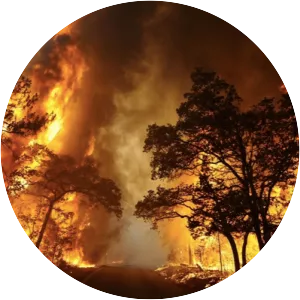 Black Saturday bushfires