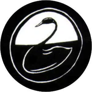 Black Swan Network - Musical band