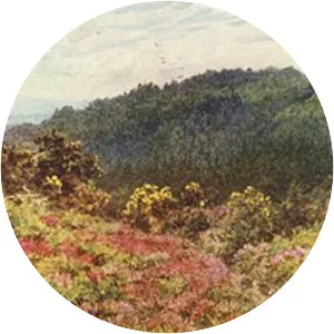 Blackdown, West Sussex - Hill in England