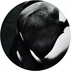 Blackfish - 2013 ‧ Documentary ‧ 1h 30m