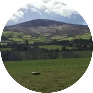 Blackstairs Mountains