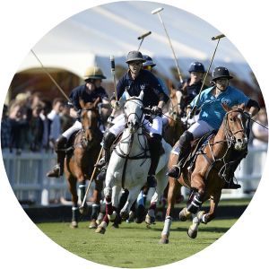 BlackWatch Polo Team