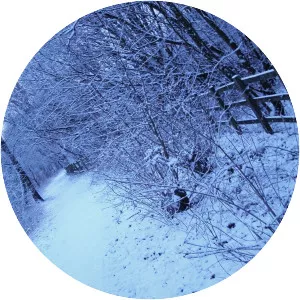 Blackwater Valley Path