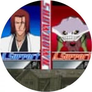 Bleach: The 3rd Phantom - Video game