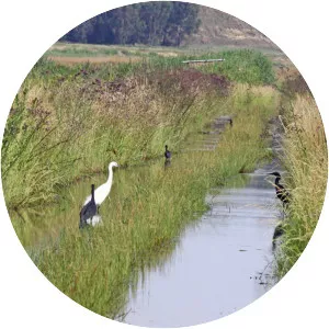Blesbokspruit - River in South Africa