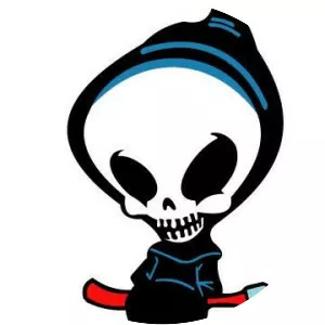 Blind Skateboards - Company