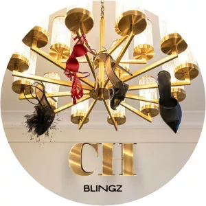 Blingz - Musical artist