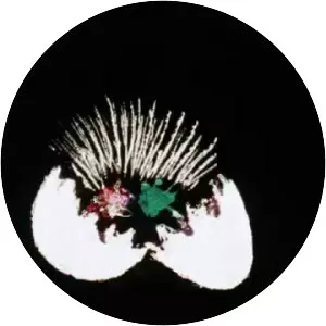 Blinkity Blank - 1955 ‧ Short/Animation ‧ 5 mins