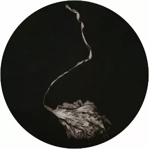 Blood Ballet photograph