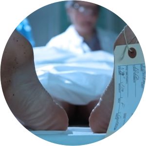 Blood, Lies, And Alibis