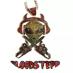 Bloodstepp - Musical artist