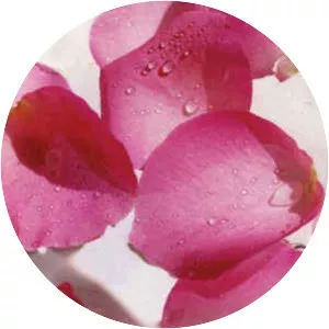 Blooming Ivory - Album by Miki Imai