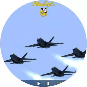 Blue Angels Aerobatic Flight Simulator