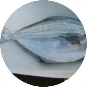 Blue butterfish - Fish