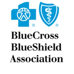 Blue Cross Blue Shield Association - Company