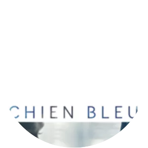 Blue Dog (Chien bleu)