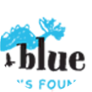 Blue Dragon Children's Foundation