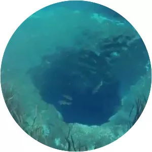 Blue Hole Spring