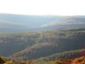 Blue Knob State Park - 