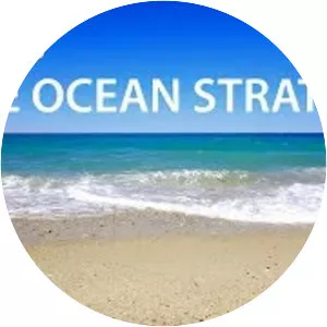 Blue Ocean Strategy - Book by Renée Mauborgne and W. Chan Kim