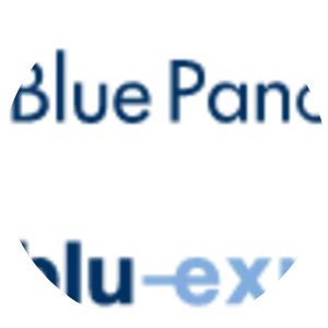 Blue Panorama Airlines