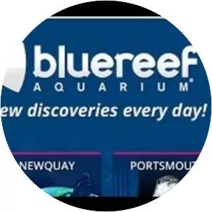 Blue Reef Aquarium Newquay