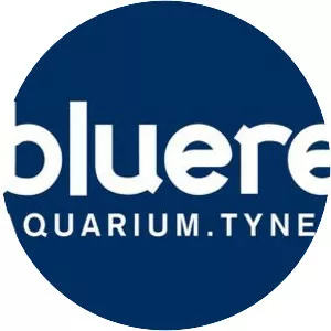 Blue Reef Aquarium - 