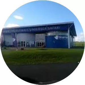 Blue Reef Aquarium Tynemouth